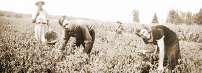 banner photo
